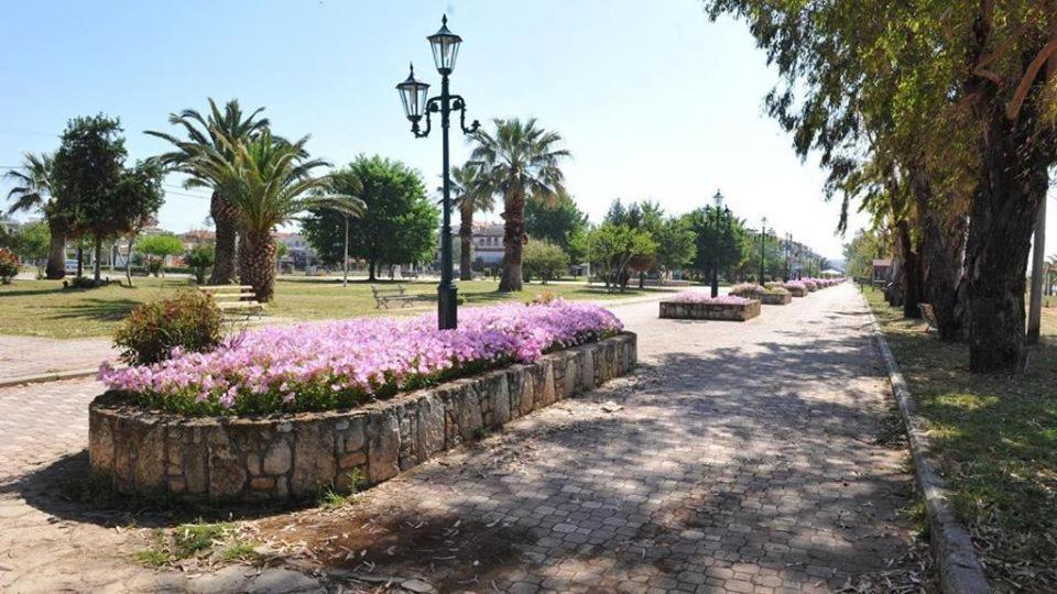 Zoi Apartments Paralia Dionysiou Exterior foto